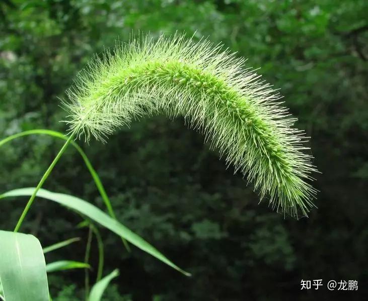 裸辞迎接2019年的春天