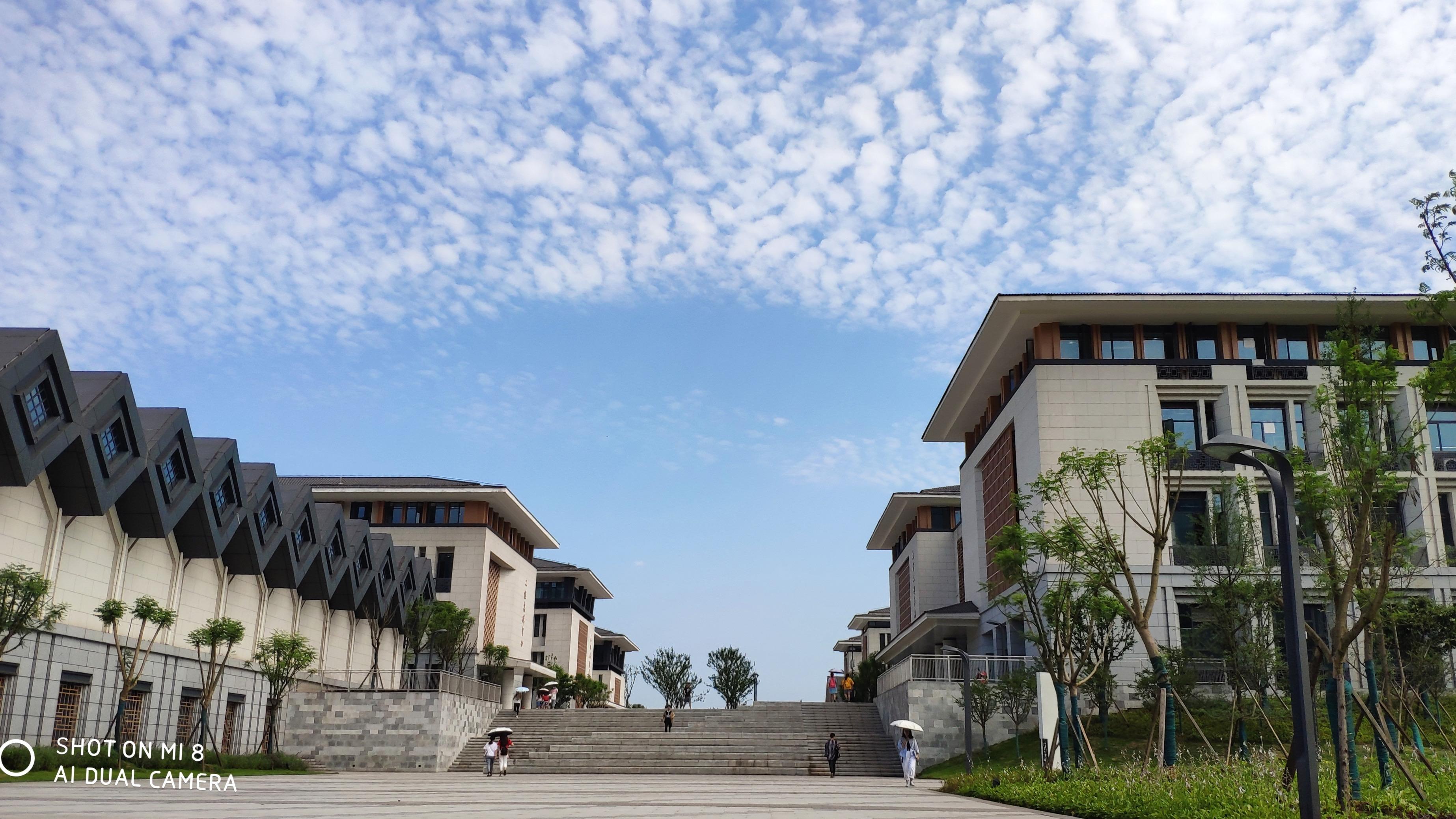 在四川轻化工大学就读是什么体验