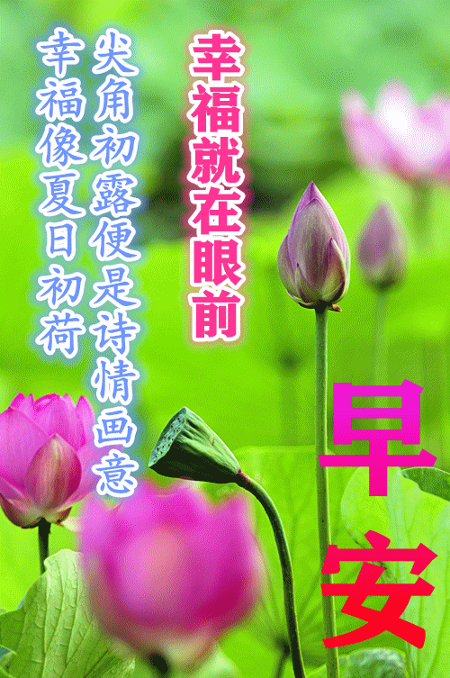 漂亮的早上好问候动态表情 …