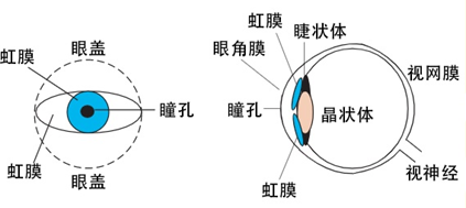 图标