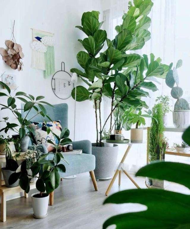 绿色家居装饰让自己贴紧自然