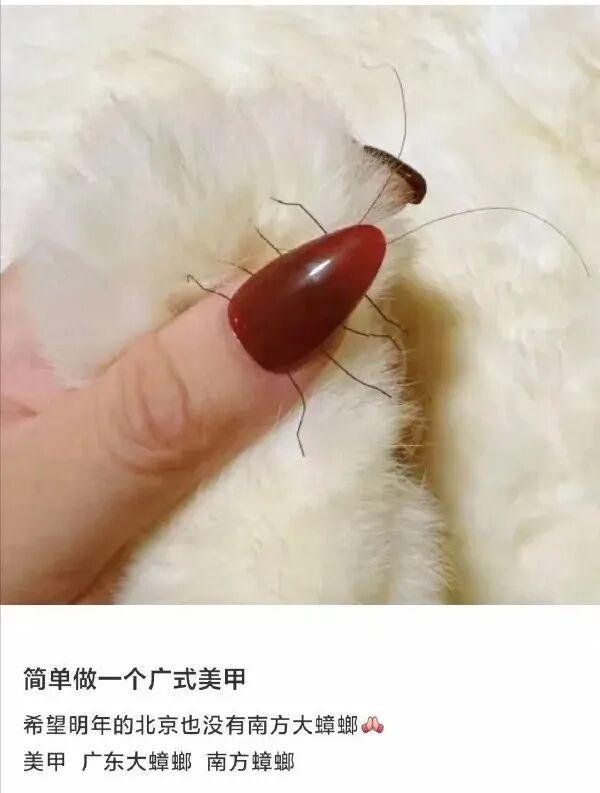 [今日鱼图]精神点 别丢份！ - 知乎