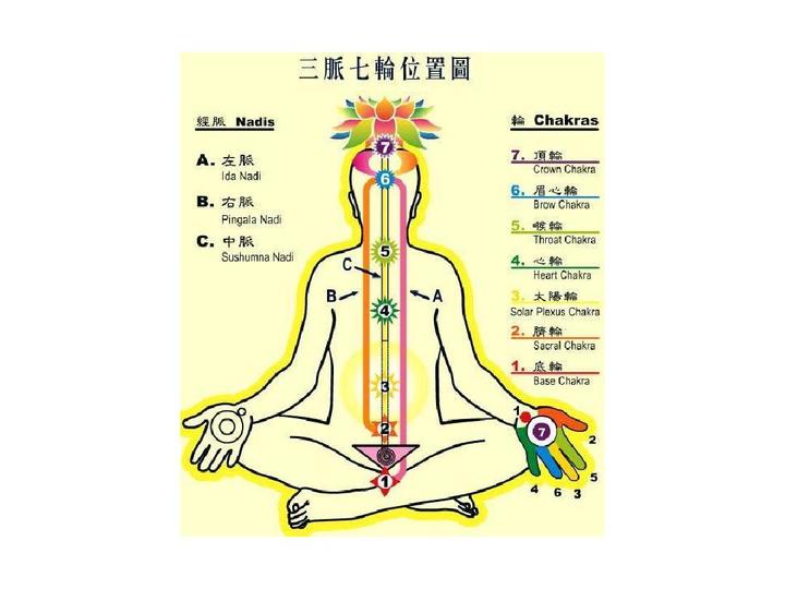 中脉七轮 - 知乎