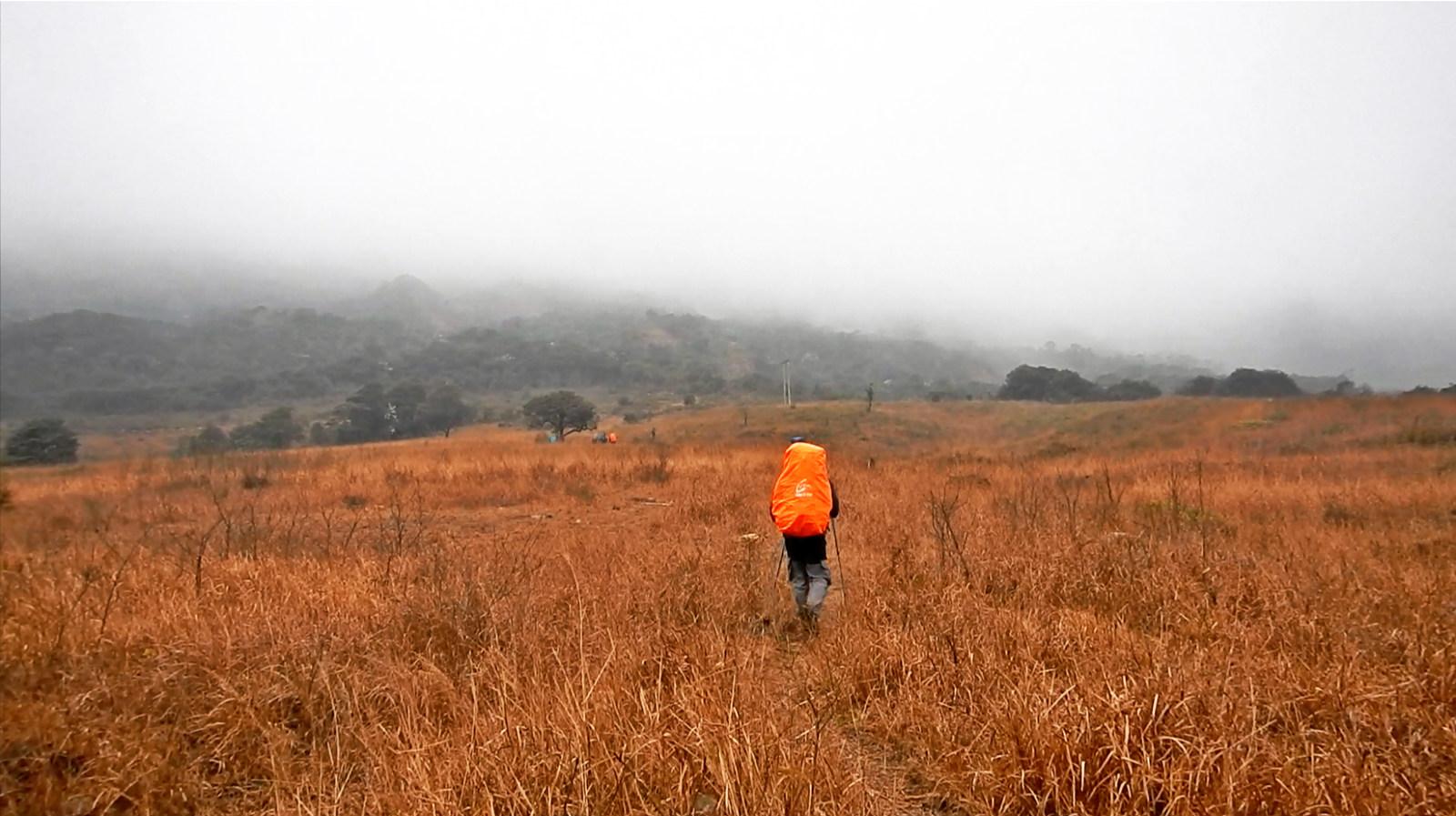过年期间你经历的最有趣的故事是什么? - 探险