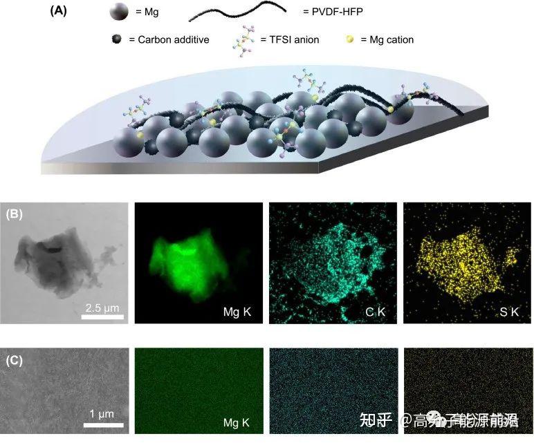 《ESM》TFSI阴离子接枝聚合物作为镁电池中镁离子导电保护层 知乎