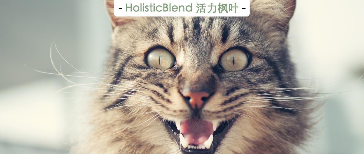 v2-3f178977a85b3a8163d8034b455f3cd4_1440w.jpg?source=172ae18b