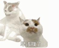 别再将就开会!TCL会议电视太香了