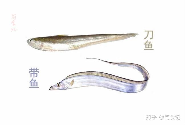 炸带鱼时最忌讳直接下锅多加这1步带鱼更香更脆还没腥味