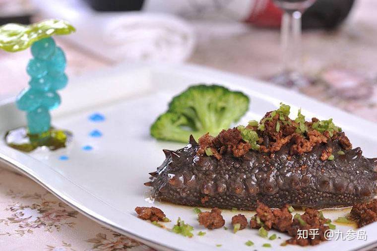 去哪里买海参最好 v2-3f2d0076c257f6a0e8c8bab4f33f76de_r.jpg