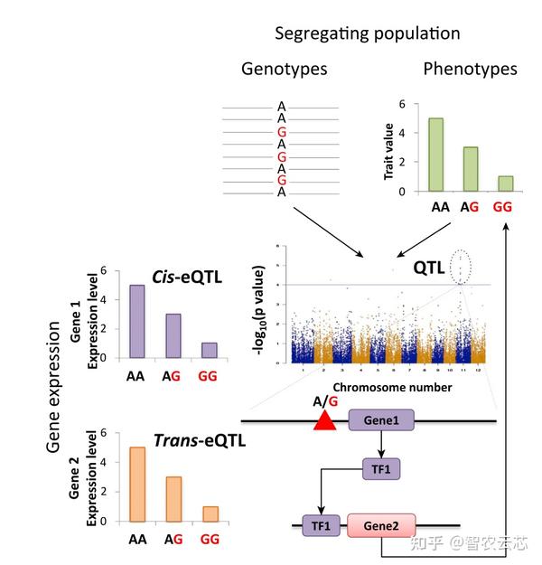 Trends In Plant Science 