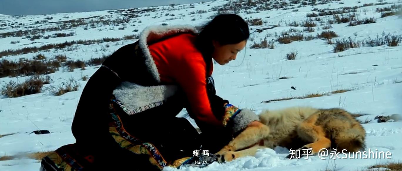 李微漪告别格林 zhuanlan.zhihu.com