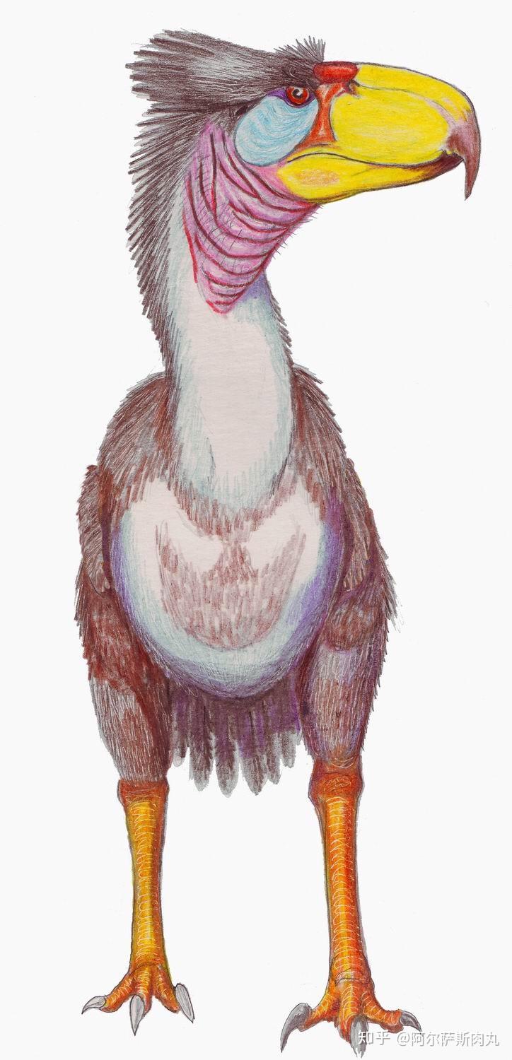 prehistoricpark丨史前公园1巨鸟奔腾骇鸟兴衰简史