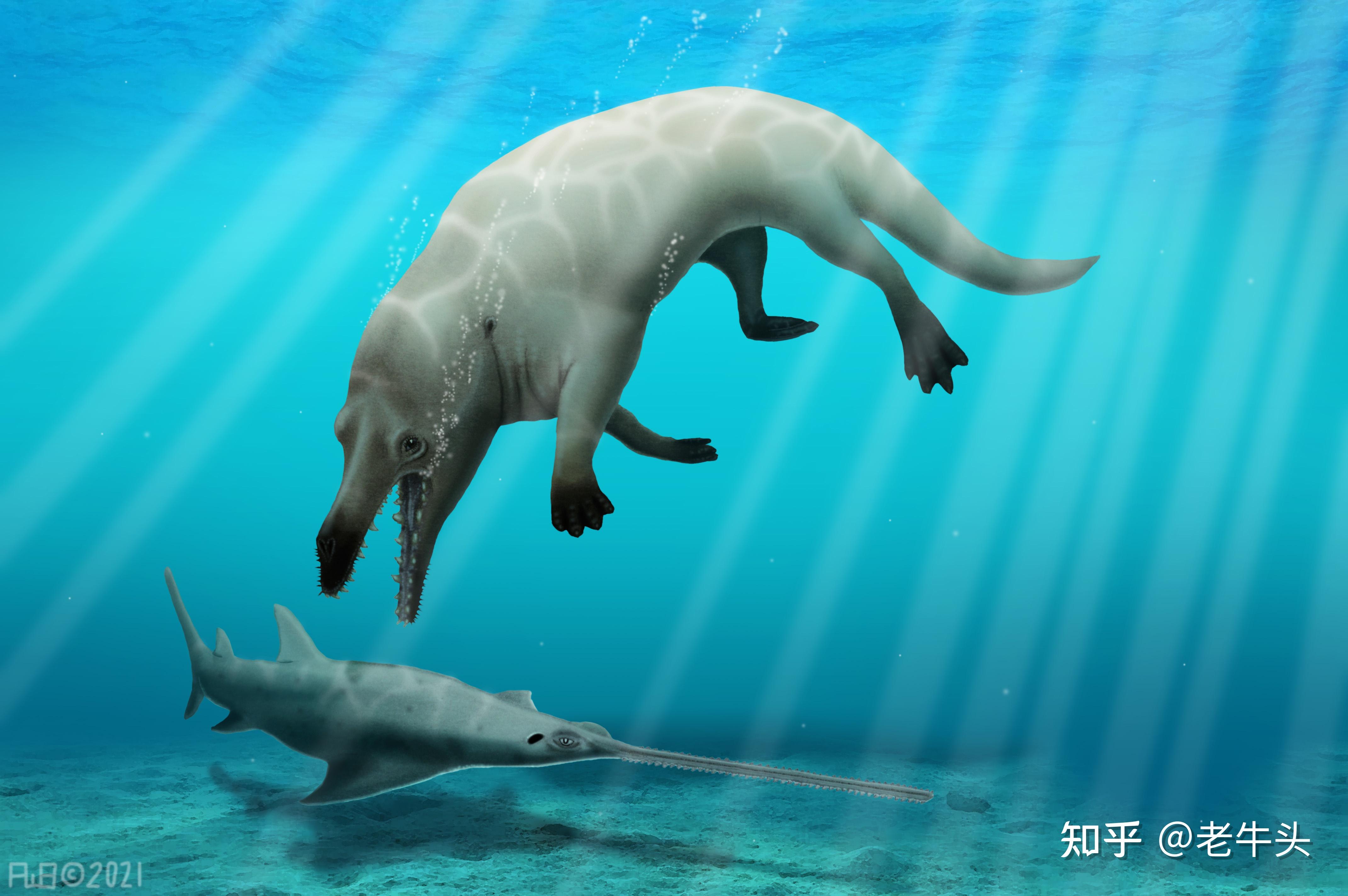 一,原核生物,早期生命,演化1.