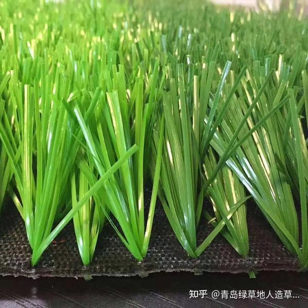 人工假草皮 - 知乎