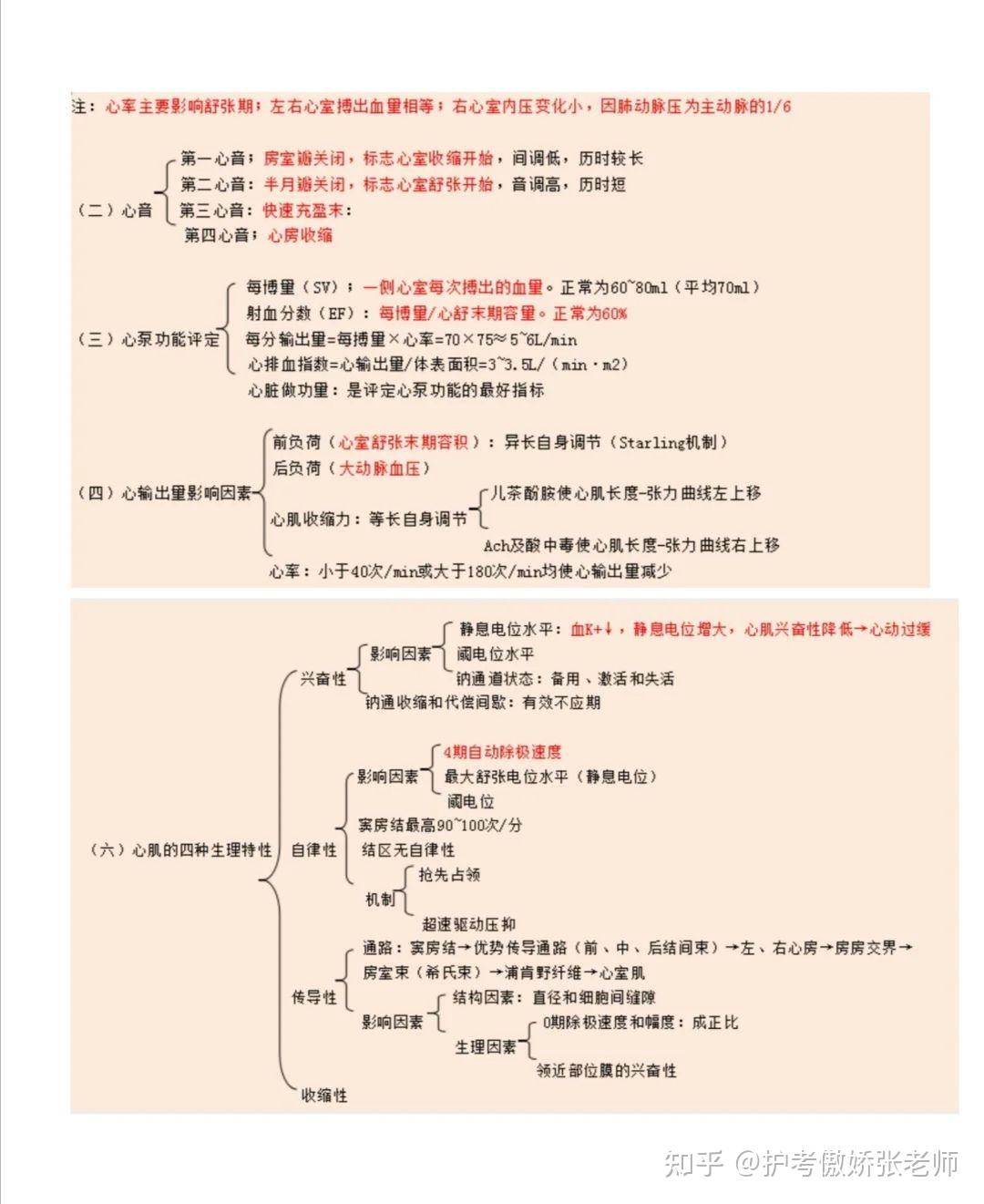 生理学框架图