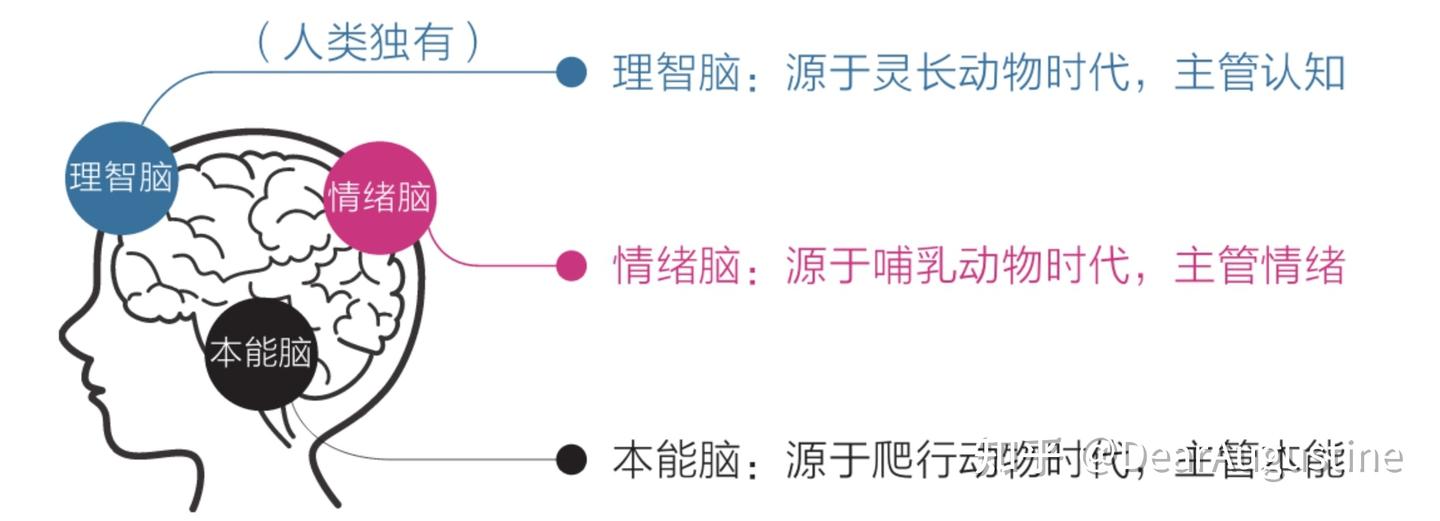 怎样建立并且提高你的行动力?急! - 知乎
