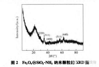 核壳Fe3O4/SiO2/Au,单分散四氧化三铁复合纳米颗粒的制备，尺寸为30 nm - 知乎