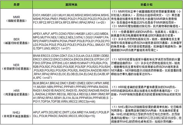 知乎专栏