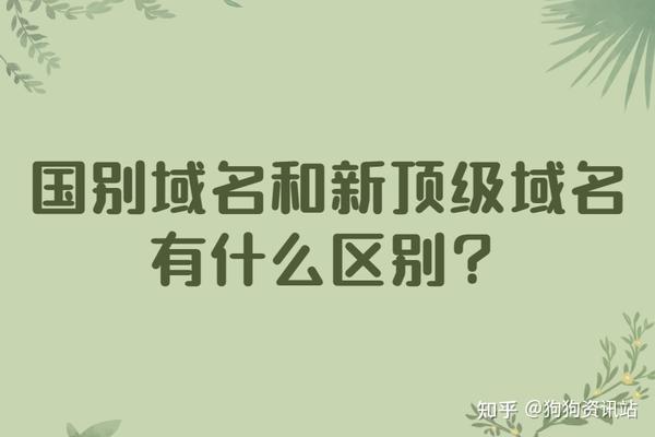 不同域名与服务器区别
