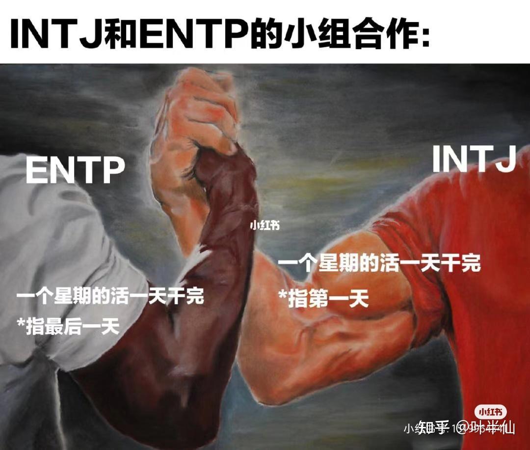 INTJ梗图一览 - 知乎