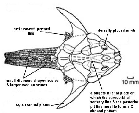 地球演义 盾铠记 上 重甲 知乎