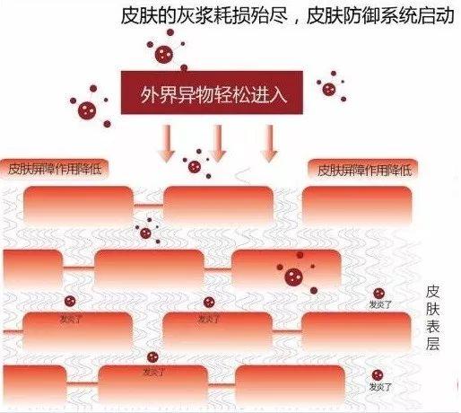 化妆学校培训化妆_化妆对比 美女们化妆前后_化妆健康