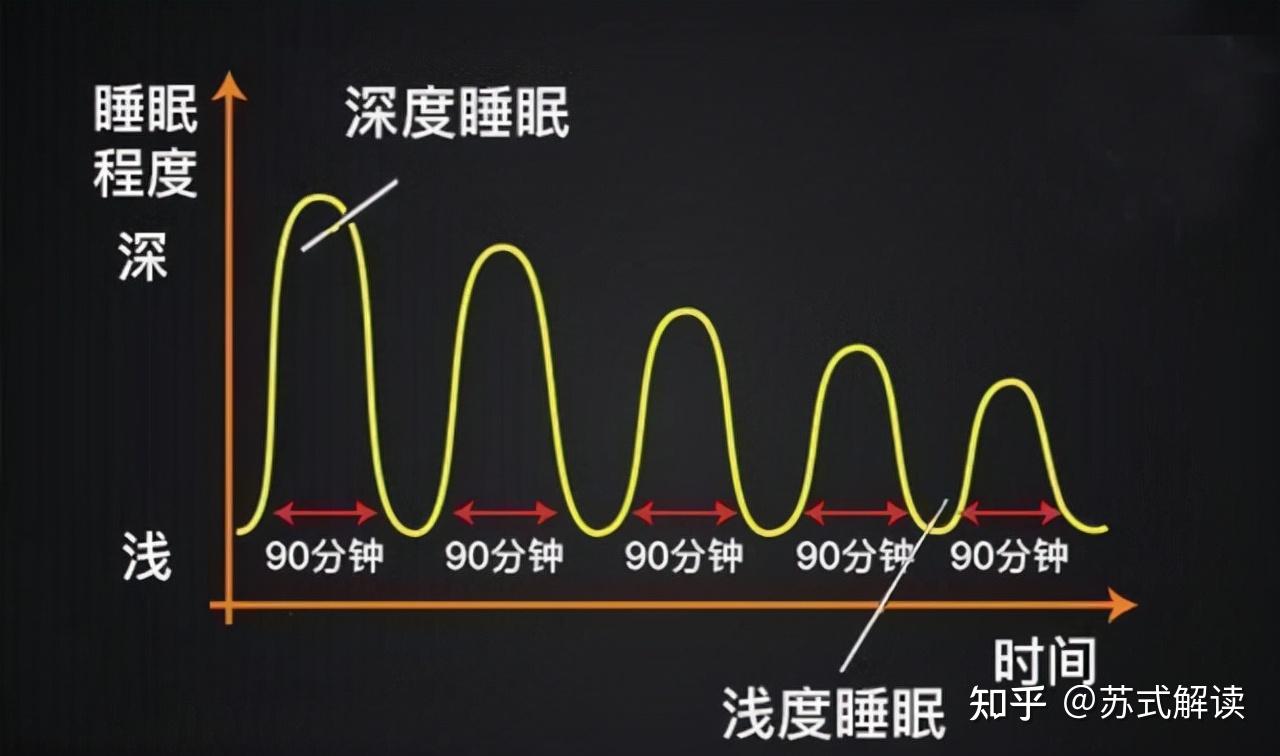 01浓缩睡眠法,关键在深度睡眠