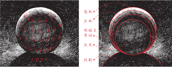 素描与光影基础知识大总结!提高基础必备! - 知乎