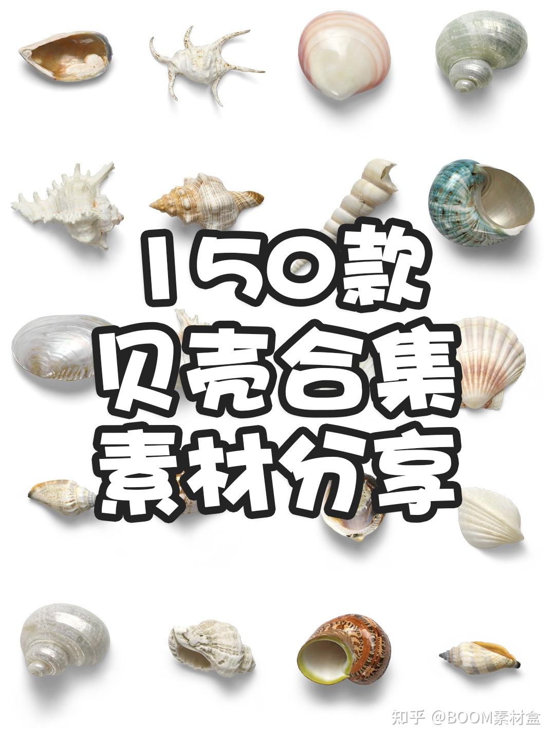 素材分享丨贝壳海底动植物海螺壳海星珊瑚珍珠tif免抠格式装饰元素