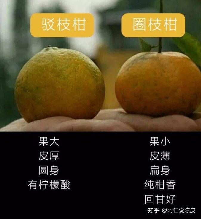 v2-3f9ec946e920405e0579956350e17442_1440w.jpg?source=172ae18b