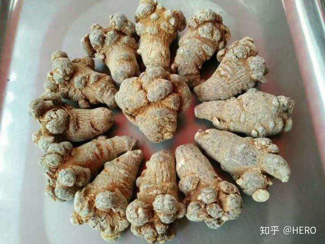 粉的功效:三七粉的成分和三七主根一样,富含三七皂苷,三七多糖,三七素