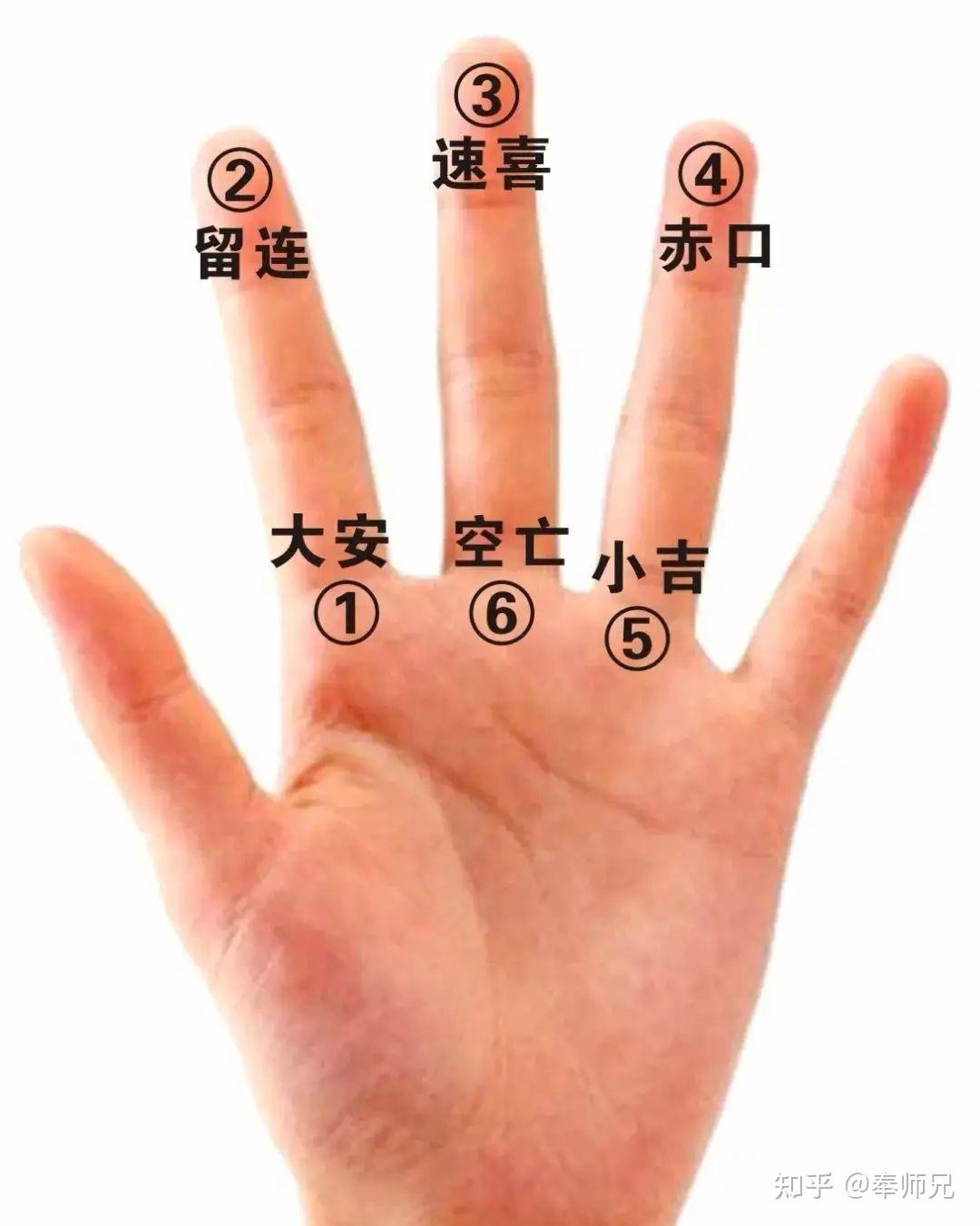 掐指一算是怎么回事，电视里的掐指一算到底怎么掐的，简单易学。 知乎