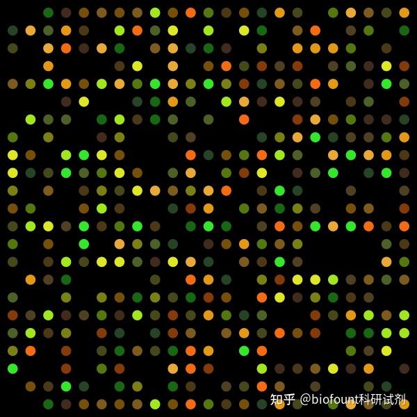 Dna 