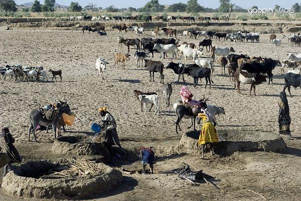 1945年二战后的德国柏林难民营.
