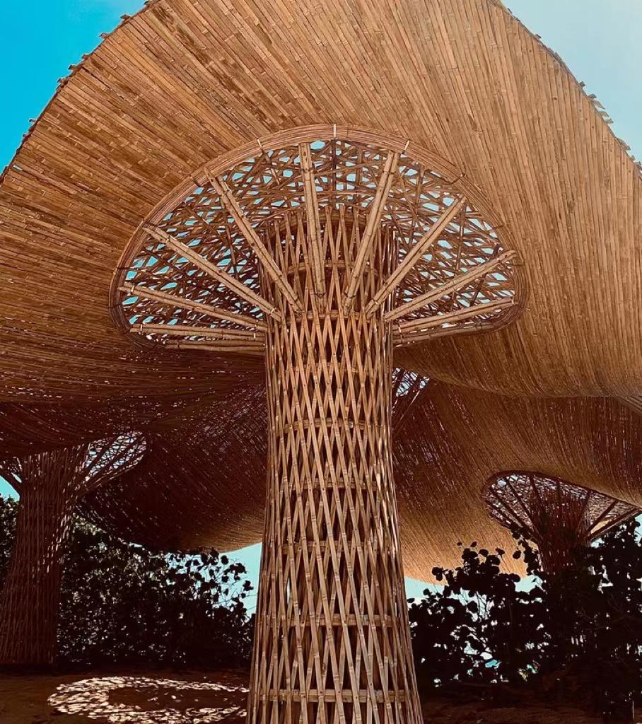 竹结构景观,网红竹编建筑,创意竹结构建筑,竹结构民生建筑,越南竹建筑