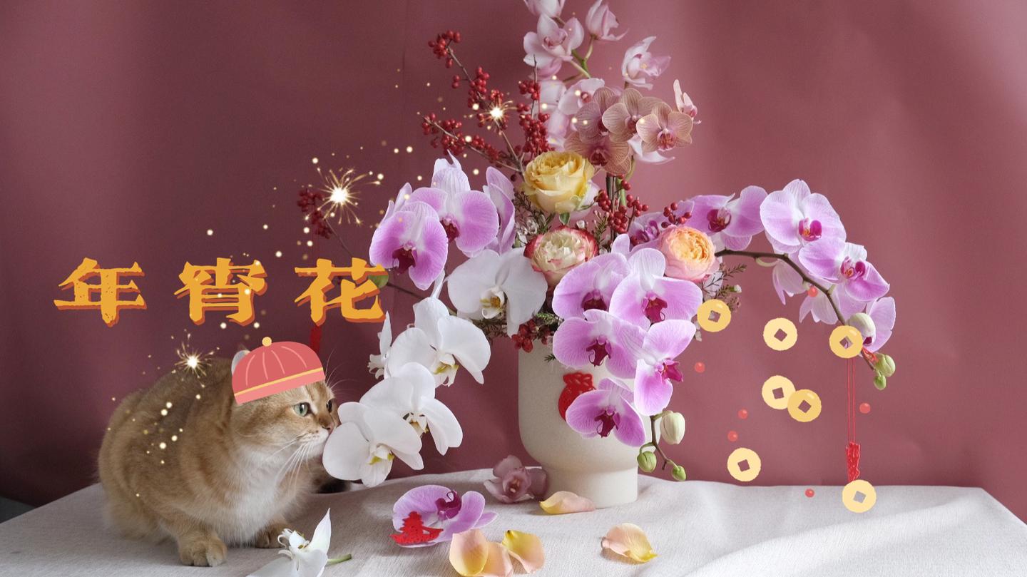 花艺笔记vol 9 蝴蝶兰年宵花岁岁常欢愉 知乎 花艺笔记vol 9 蝴蝶兰年宵花岁岁常欢愉 知乎