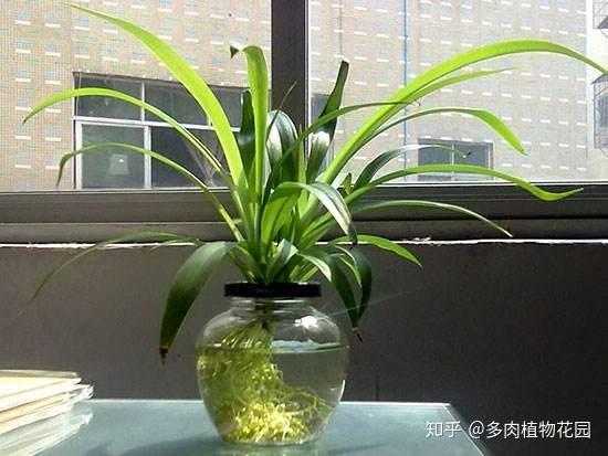 v2-3ff753175ab7756d790296b144f3d3d6_r.jpg