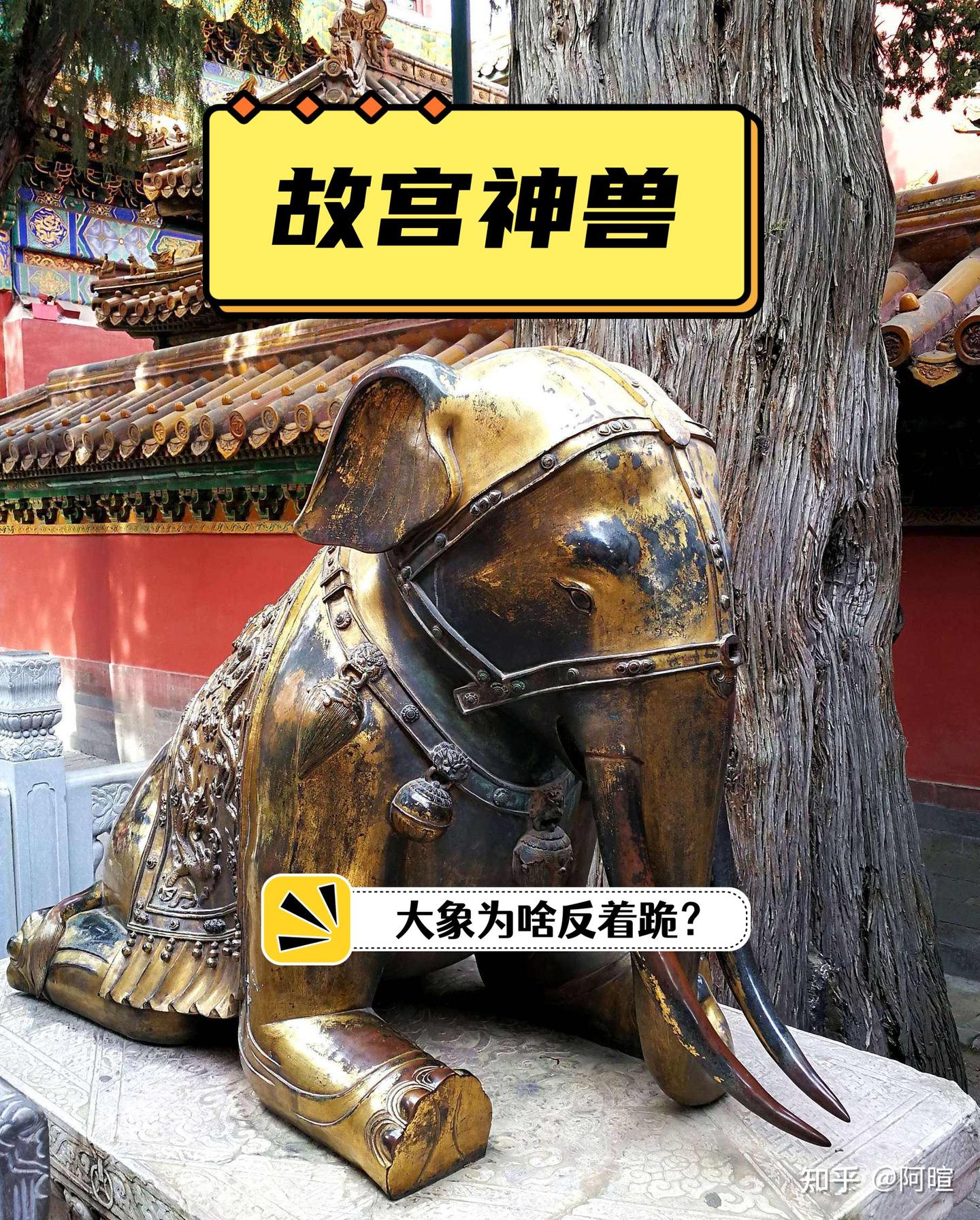 故宫神兽丨御花园里的鎏金象为啥反着跪？ - 知乎 