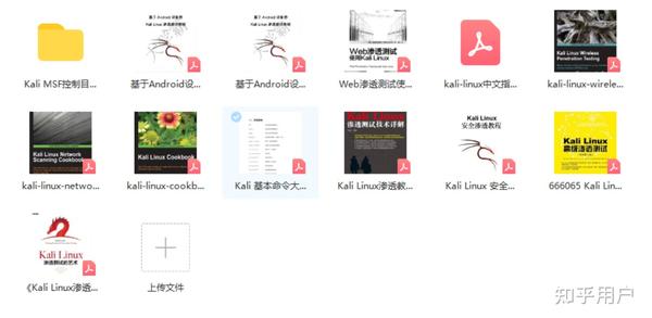 有哪些推荐的Kali Linux相关书籍适合初学者和进阶用户？