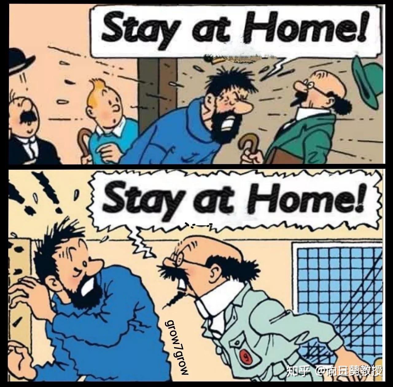 丁丁历险记             向日葵教授的传说