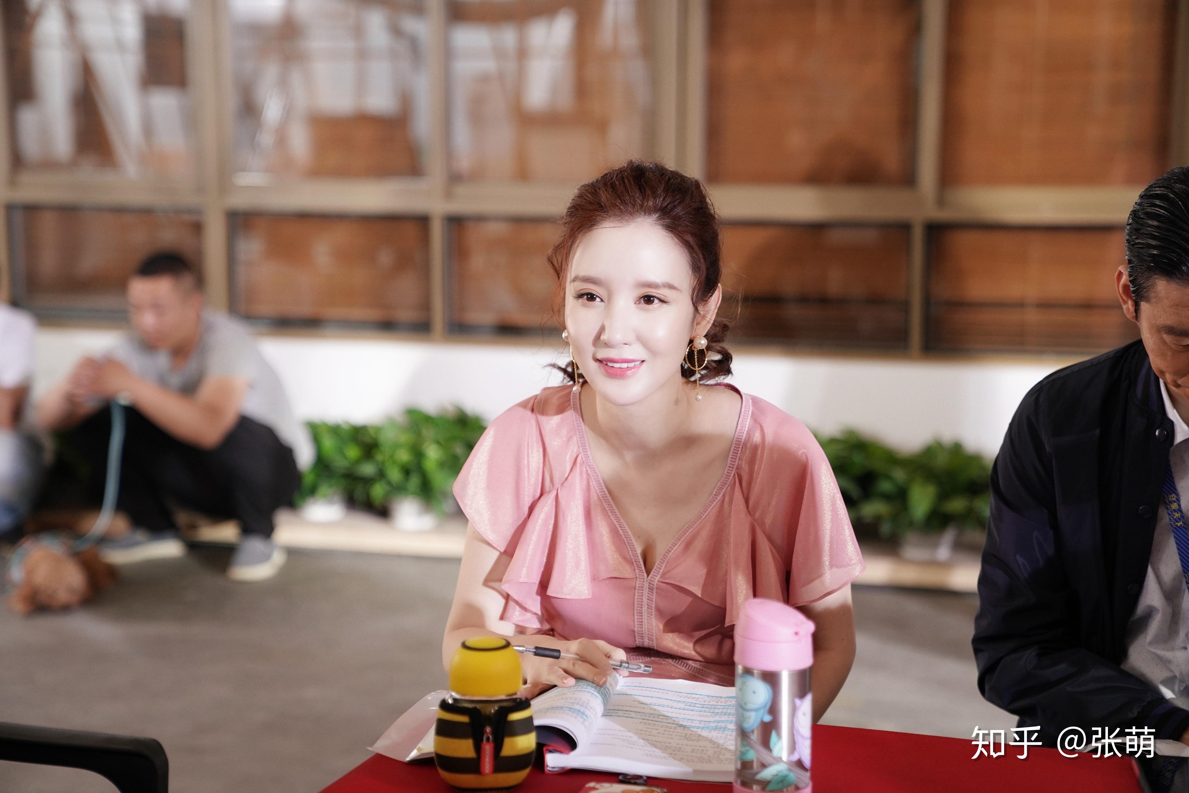 如何评价电视剧安家中的张乘乘