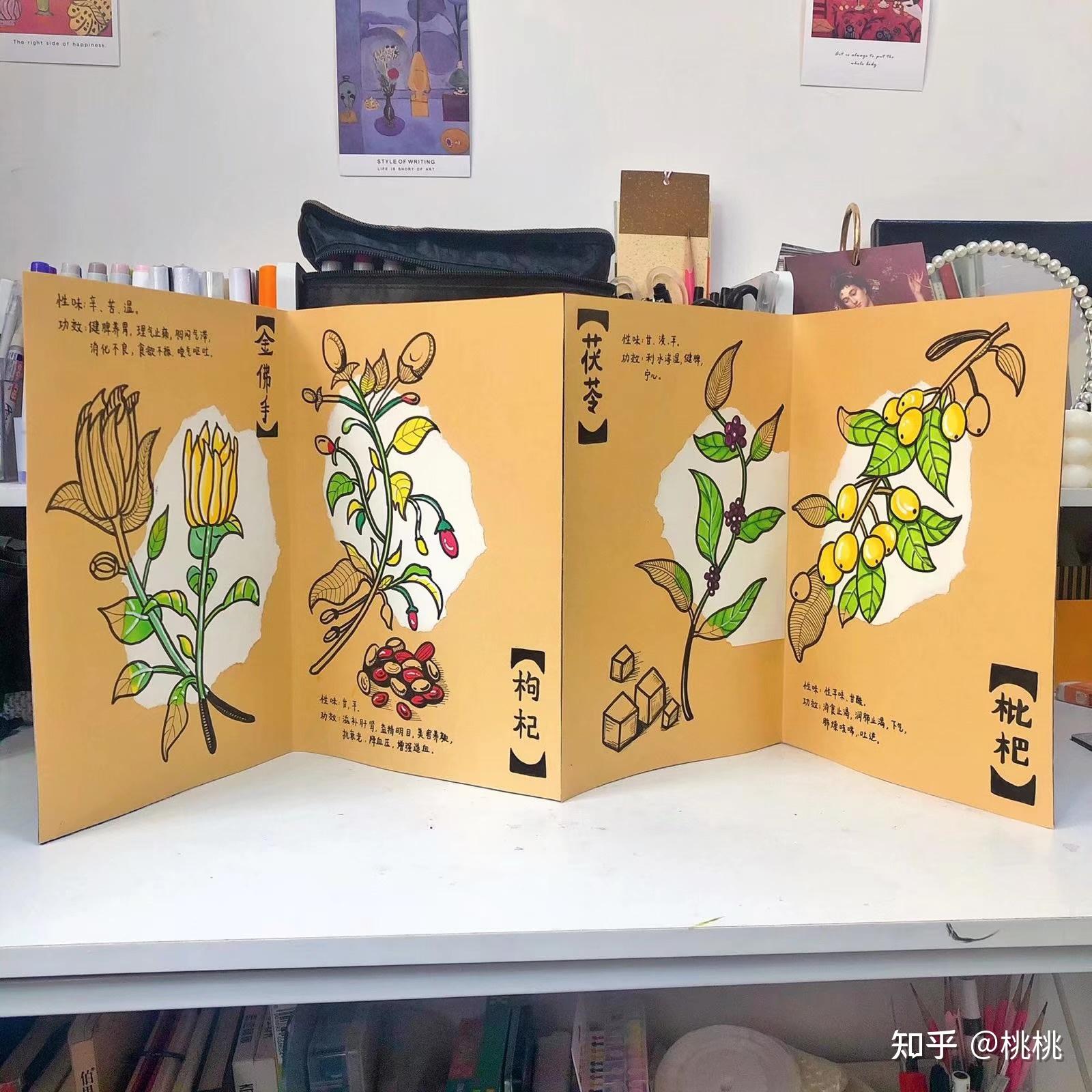 幼儿园手工创意画《本草纲目》