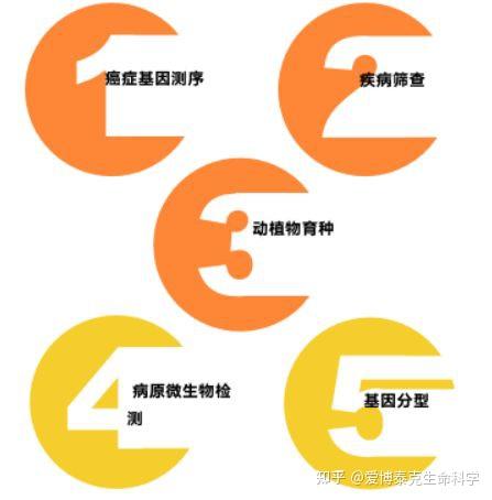 干货分享 | 一文了解多重扩增子测序 - 知乎
