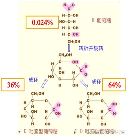 核糖环式结构图片