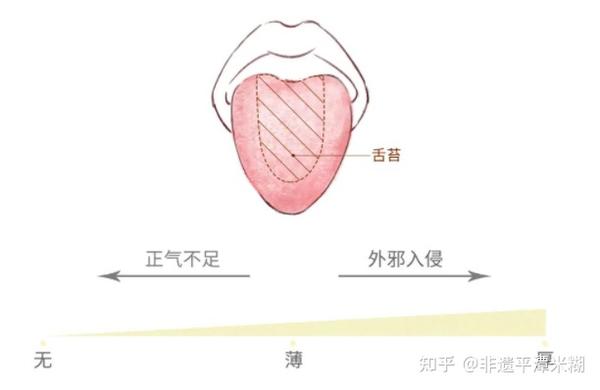 一看就懂|简单实用的舌诊图谱大全,教你快速识别疾病! - 知乎