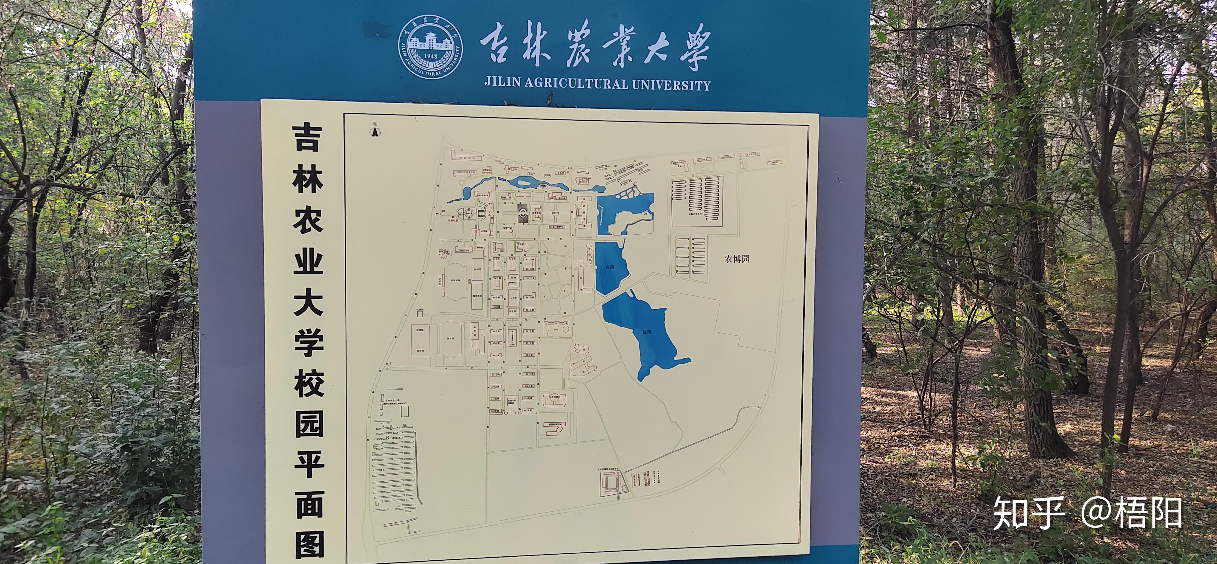 在吉林农业大学就读是什么体验