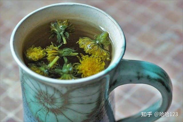 蒲公英茶沖泡方法