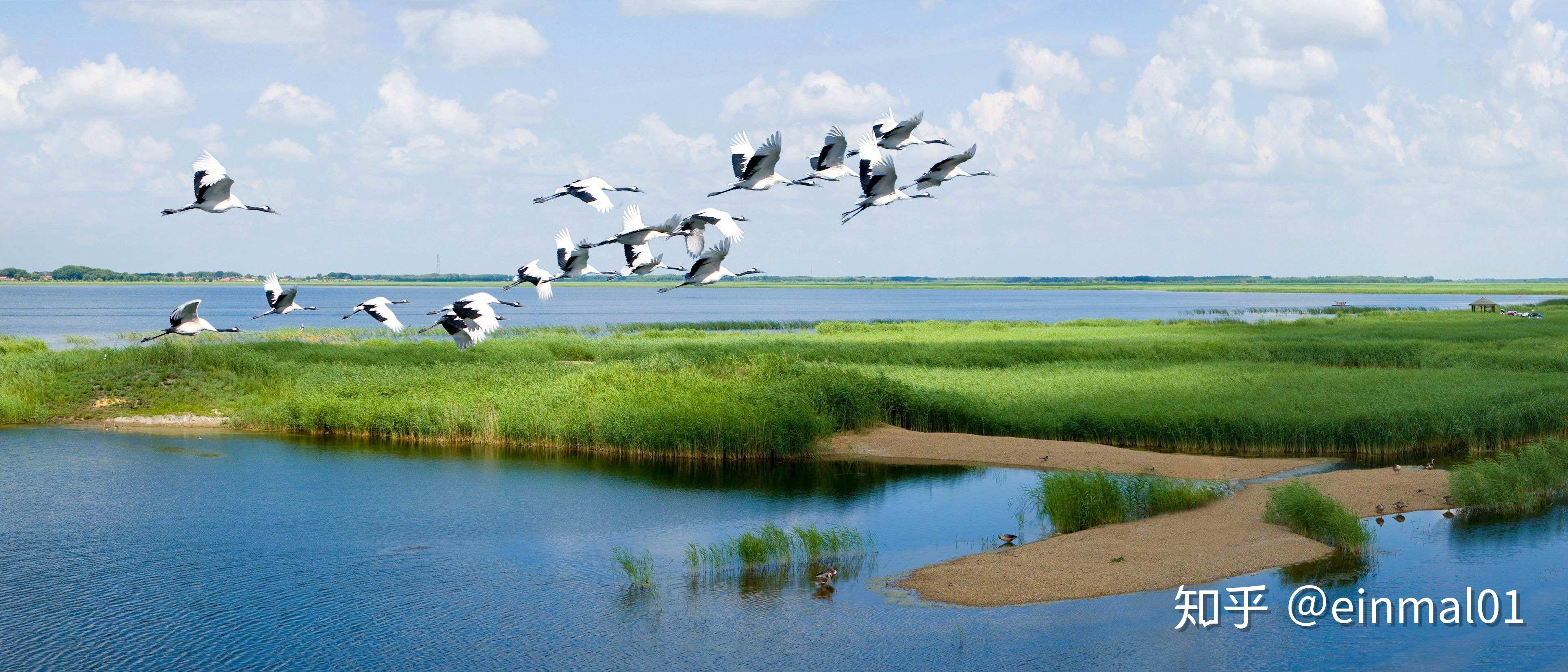 剑湖湿地成为云南省首批“国字号”重要湿地 _www.isenlin.cn