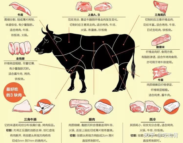 吃肉致癌胃癌患者还能愉快地吃肉吗营养师为您解答