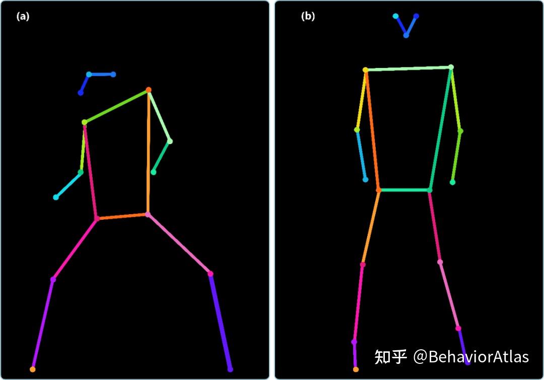 姿态数据集标注软件发布 | BehaviorAtlas Pose Labeler软件V1.0.0简介 - 知乎